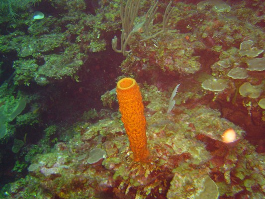 DSC00713.JPG
