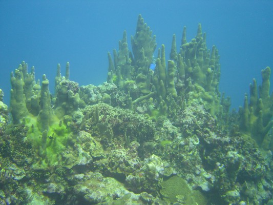 DSC00728.JPG