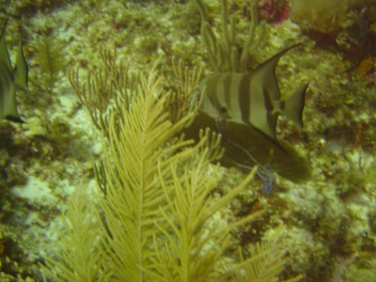 DSC00810.JPG