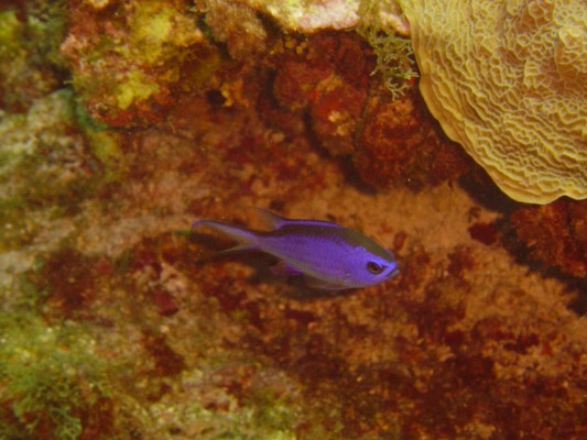 DSC00814.JPG