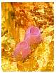 DSC00839.jpg