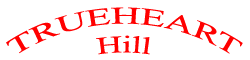 The original Trueheart Hill web site (circa 1997).